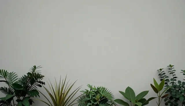 公众号开发中域名使用与维护建议